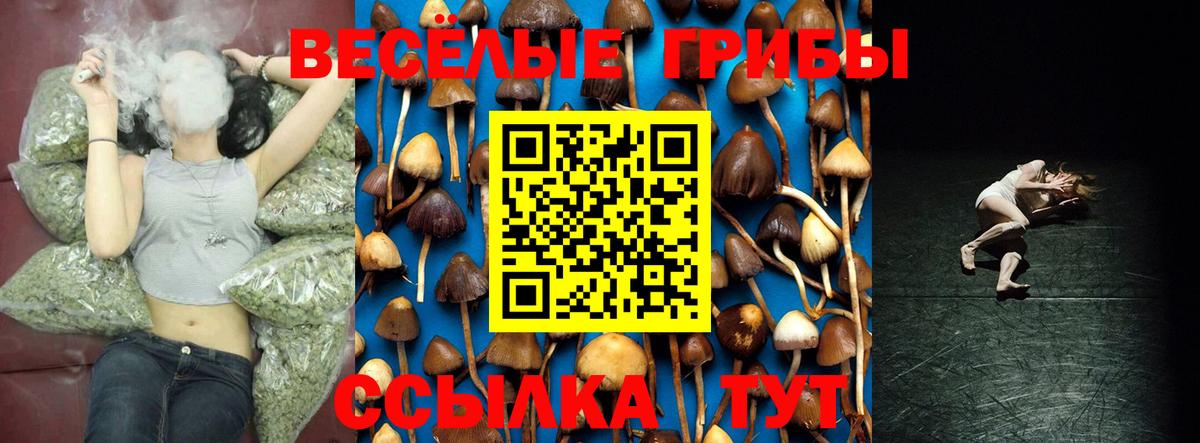 Псилоцибиновые грибы GOLDEN TEACHER Назарово